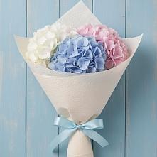 Букет цветов из:  Гортензия в Клину