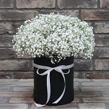 Цветочная композиция из Гипсофила в шляпной коробке в Клину