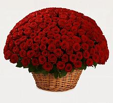 Премиум букет из: Розы #REPLACE_PRED# Клину