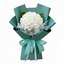 Букет цветов из:  Гортензия в Клину